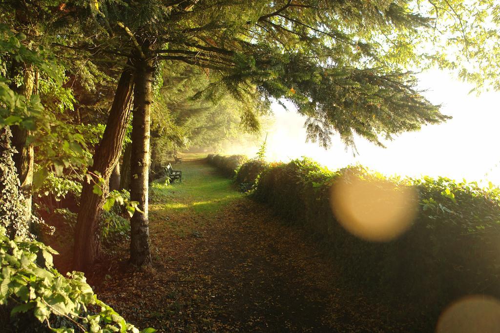 فندق Le Troncais Saint-Bonnet-Tronçais المظهر الخارجي الصورة
